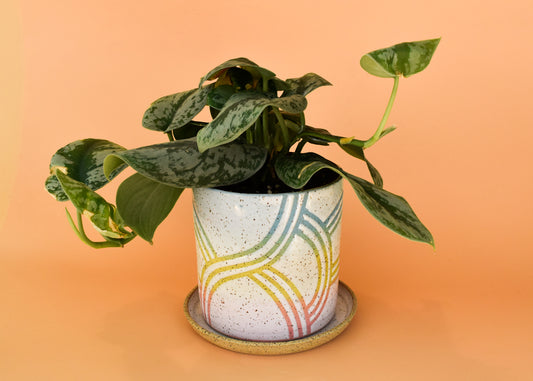 Rainbow Dune Planter
