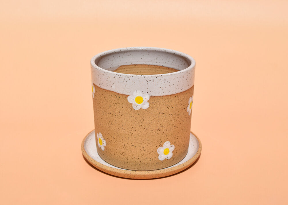 Daisy Planter