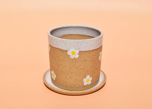 Daisy Planter