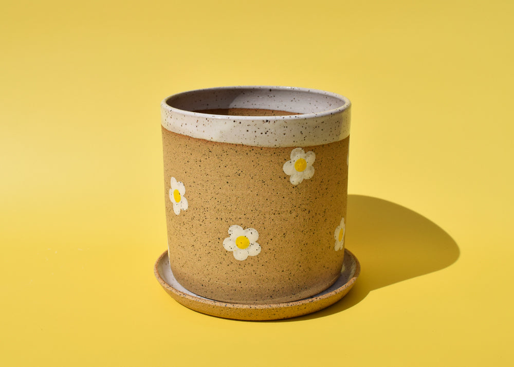 Daisy Planter